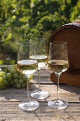 Tasty wine in glasses, grapes and barrel on wooden table outdoors