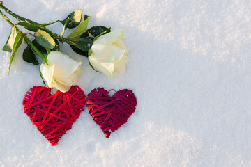 Two red hearts and white roses on snow background.