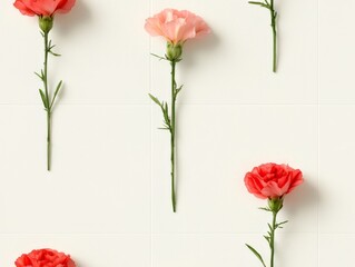 Seamless pattern Beautiful arrangement of colorful carnations on a clean background, perfect for floral themes and artistic inspirations.