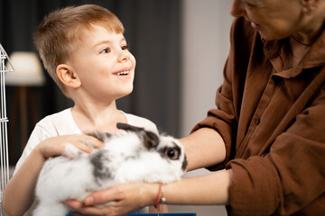 Little boy touching pet rabbit while woman holding dwarf bunny