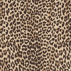 leopard skin texture background, modern fashionable print