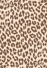 Animal print textile texture. Leopard fur background