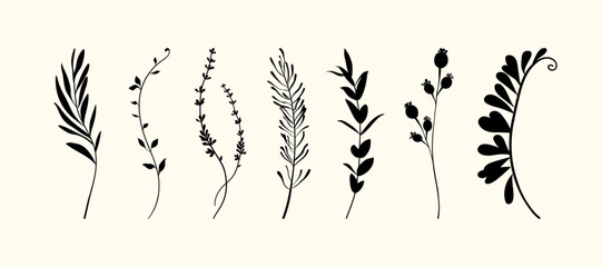 Set of hand drawn vector flowers, tropical leaves, plant, wildflower, rose. eucalyptus, branches. Collection of botanical black silhouette element vector. Abstract bouquet in minimalistic flat style.