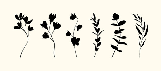 Set of hand drawn vector flowers, tropical leaves, plant, wildflower, rose. eucalyptus, branches. Collection of botanical black silhouette element vector. Abstract bouquet in minimalistic flat style.