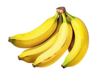 PNG Banana fruit plant food.
