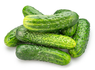 Fresh sweet small cucumbers isolated on white background. Cucumbers that are used to pickling or slicing.