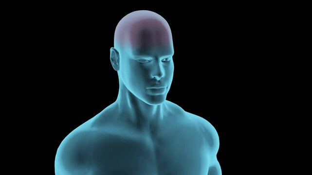 The human male's upper body hologram with the red pulsation of the upper headache indication.
