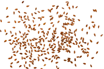 Scattered brown flax seeds isolated on a transparent background. Top view.