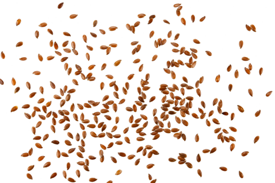 Scattered brown flax seeds isolated on a transparent background. Top view.