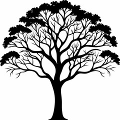 ironbark-tree-silhouette