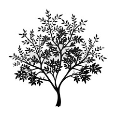 indian-laurel-tree-silhouette