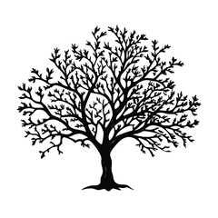 indian-laurel-tree-silhouette