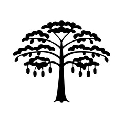 indian-mahogany-tree-silhouette