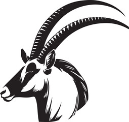 Arabian oryx big horns vector