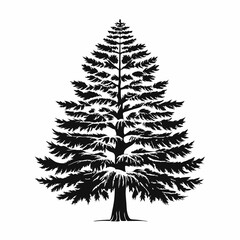 leyland-cypress-tree-silhouette
