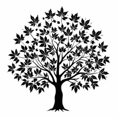 Obraz premium liquidambartree-silhouette