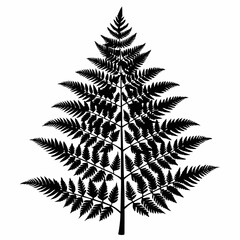  fern-pine-tree-silhouette