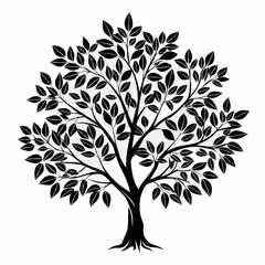 Obraz premium california-laurel-tree-silhouette