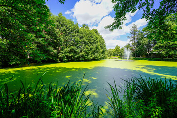 View of the Meisebach in Bad Hersfeld. Small pond with green nature in the city.
