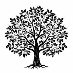 Obraz premium English-walnut-tree-silhouette