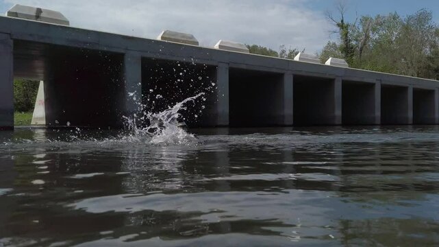 Shot of a pet dog swimming on Passage &agrave; gu&eacute; d'Ortaffa in France during daytime. Water ripples. Slow motion