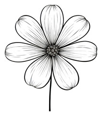 Obraz premium PNG Doodle flower drawing sketch white.