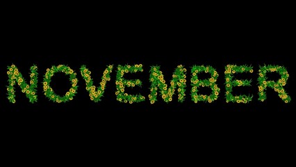 Beautiful illustration of November text with green leaves and yellow daisy flowers on plain black background