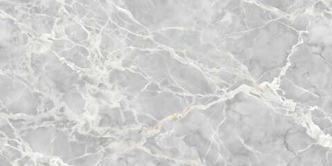 Fototapeta premium Abstract Gray Marble Texture with Delicate Veins and Subtle Shimmer