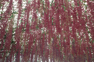 Pink and white floral textured pattern with red and white accents on a natural wood and bark surface creating an autumn-inspired wallpaper design