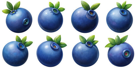 Cartoon illustration set of blueberry with Grainy Textures. isolate on a white background. PNG
