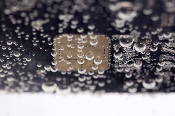 Close-Up of Water Droplets on a Black Card