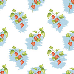 Obraz premium pattern with flowers, Watercolor Physalis seamless pattern, red flower on blue background 
