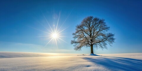 Snowy landscape with sunburst and single tree
