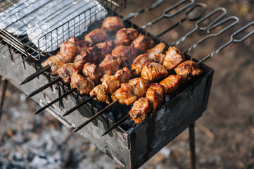 Cooking meat on the grill. Fried shashlik, barbecue with marinade on the fire, coals on the picnic outdoors. Food photography.