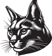 Carcal cat vector