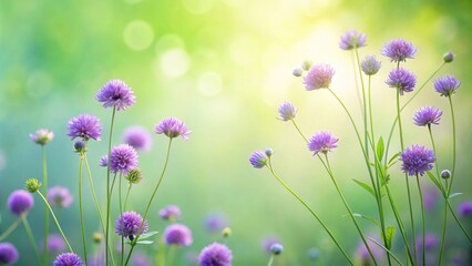 Soft purple wildflowers in a pastel green background