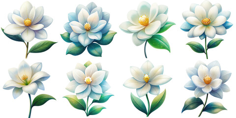 Obraz premium Cartoon illustration set of white flower with Grainy Textures. isolate on a white background. PNG 