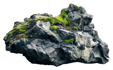 PNG Iceland rock plant moss white background.