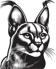 Carcal cat vector
