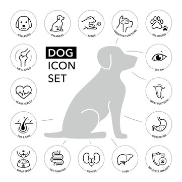 A set of icons for dog. The basic parts of pet health. The outline icons are well scalable and editable. Contrasting elements are good for different backgrounds. EPS10.	