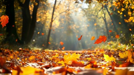 Autumn's vibrant tapestry.