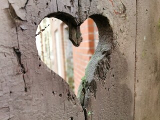 Heart of Wood