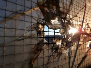 Shattered Glas