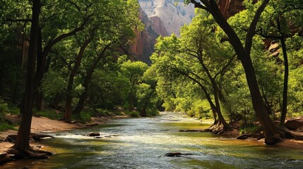 Obraz premium Trees line Virgin Narrows River