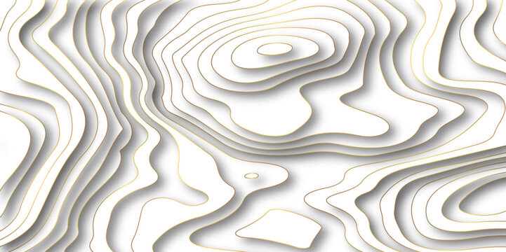 Abstract paper carve template. abstract white and gray 3d papercut topography relief vector background. Modern curved line of contour map, geological contour map with geometric lines, Landscape geodes