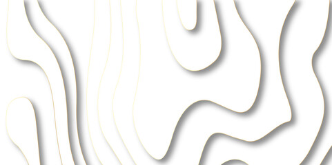 Obraz premium Abstract paper carve template. abstract white and gray 3d papercut topography relief vector background. Modern curved line of contour map, geological contour map with geometric lines, Landscape geodes