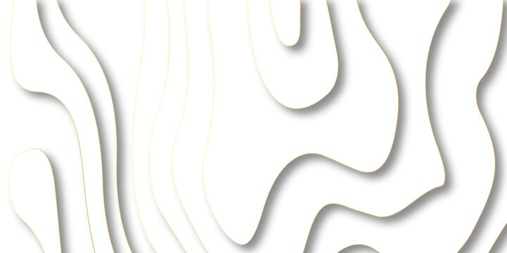 Abstract paper carve template. abstract white and gray 3d papercut topography relief vector background. Modern curved line of contour map, geological contour map with geometric lines, Landscape geodes