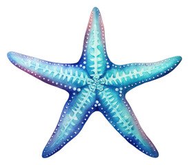 PNG Starfish white background invertebrate echinoderm.