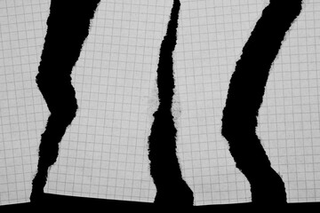 Torn Graph Paper Pieces on Black Background