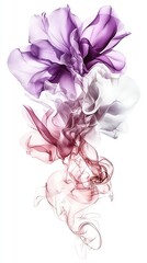 Fototapeta premium A flower sits atop a field of white on a sunny day